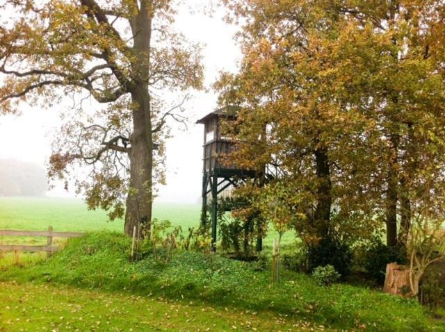 Landhotel Waldseiter Hof Bad Bentheim Eksteriør bilde